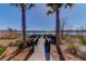 Scenic fishing pier framed by palm trees, providing a tranquil setting for fishing and enjoying the beauty of the surrounding landscape at 124 Long Trail Way, Moncks Corner, SC 29461