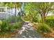 Scenic street lined with lush greenery, palm trees, and well-maintained homes at 1331 Smythe St, Daniel Island, SC 29492