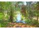 Picturesque view of a tranquil pond surrounded by lush trees, creating a serene natural setting at 1918 Armory Dr, Mount Pleasant, SC 29466
