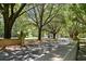 Tree-lined driveway leading to the property, enhancing the curb appeal and privacy at 1972 Long Creek Rd, Wadmalaw Island, SC 29487