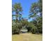 Direct water access from the property, framed by mature trees and lush greenery at 1972 Long Creek Rd, Wadmalaw Island, SC 29487