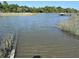 Serene water view showcasing a tranquil waterway, dock, and lush shoreline at 1972 Long Creek Rd, Wadmalaw Island, SC 29487