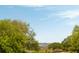 Scenic water view framed by lush greenery and trees under a bright blue sky at 2 Pierates Cruz, Mount Pleasant, SC 29464
