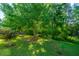 Lush backyard featuring mature trees, manicured lawn, and natural landscaping, offering a peaceful and picturesque setting at 2314 Hummingbird Ln, Summerville, SC 29483