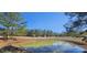 Scenic pond reflecting the clear blue sky, surrounded by tall pine trees and grassy fields at 280 Royalegates Ct, Cross, SC 29436