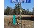 Street sign ROYALGATES CT showing the location of the property with new construction nearby at 280 Royalegates Ct, Cross, SC 29436