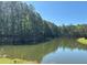 Scenic pond surrounded by lush trees and greenery at 287 Commonwealth Rd, Mount Pleasant, SC 29466