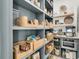 Well-stocked pantry with lots of shelves, wooden storage boxes, and a built-in microwave at 300 Ginned Cotton St, Charleston, SC 29492