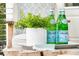 Close-up of patio accents including green plants, water bottles, and a wooden table at 300 Ginned Cotton St, Charleston, SC 29492