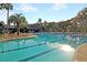 Large swimming pool with plenty of lounge chairs, umbrellas, and trees surrounding the pool area at 300 Ginned Cotton St, Charleston, SC 29492