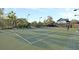 Well-maintained tennis court with green surface, surrounded by trees, and lights for evening play at 300 Ginned Cotton St, Charleston, SC 29492