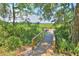 Wooden boardwalk through a lush green landscape, surrounded by trees and plants at 5400 Turning Tide, North Charleston, SC 29420
