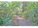 Wooden pathway through a dense forest, offering a serene and natural setting at 5400 Turning Tide, North Charleston, SC 29420
