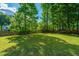 Large, green backyard with mature trees, offering plenty of space for recreation and relaxation at 5692 Barbary Coast Rd, Hollywood, SC 29449