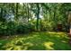 Expansive green backyard with lush trees and shrubs providing privacy and a natural setting at 620 Clearview Dr, Charleston, SC 29412