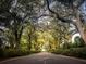 Scenic street view with large trees forming a canopy at 675 Fair Spring Dr, Charleston, SC 29414