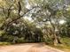 Picturesque street lined with grand trees draped with Spanish moss, creating a welcoming entrance at 675 Fair Spring Dr, Charleston, SC 29414