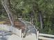 Scenic walking path with mature trees and white fencing at 7101 Bowen Corner Ave, Hanahan, SC 29410