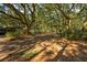 Expansive, tree-lined property with mature trees providing shade and a serene atmosphere at 810 Creekside Dr, Mount Pleasant, SC 29464