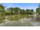 Scenic view of a calm pond reflecting the surrounding trees under a clear blue sky, creating a peaceful natural setting at 8524 Brookforest Dr, Charleston, SC 29406