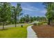 Landscaped street view showcases the neighborhood's inviting entrance and well-maintained sidewalks at 9767 Black Willow Ln, Ladson, SC 29456