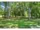Large grassy backyard featuring mature trees and plenty of room at 1192 Church Of God Rd, Bonneau, SC 29431