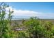 Backyard with trees and marsh landscape; water is seen in the background under a blue sky at 1502 Menhaden Ln, Mount Pleasant, SC 29466