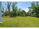 Expansive green backyard with mature trees, offering ample space for outdoor activities and recreation at 1502 Menhaden Ln, Mount Pleasant, SC 29466