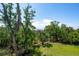 Green back yard with many trees providing shade and a view of water in the distance at 1502 Menhaden Ln, Mount Pleasant, SC 29466