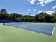 Well-maintained community tennis courts with green and blue playing surfaces, and mature tree surroundings at 1678 William Hapton Way, Mount Pleasant, SC 29466
