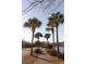 Picturesque community path lined with swaying palm trees and lush foliage, offering a scenic route for leisurely strolls at 1825 Brittlebush Ln, Johns Island, SC 29455