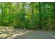 Lush green wooded area with natural landscaping at 2418 Tuscany Dr, North Charleston, SC 29406