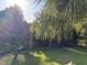 A well-maintained backyard with a black fence is surrounded by lush green trees and landscaping, perfect for privacy at 255 Oak Point Landing Dr, Mount Pleasant, SC 29464