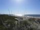 Path through sea oats to beach and bench at 2604 Palmetto Blvd, Edisto Island, SC 29438
