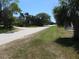 View of the beach access road and typical surrounding foliage at 2604 Palmetto Blvd, Edisto Island, SC 29438