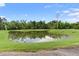 Scenic pond view surrounded by lush greenery and a clear blue sky at 317 Pimpernel St, Summerville, SC 29483