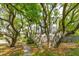 Charming home surrounded by mature trees and lush landscaping, creating a peaceful and private oasis at 3301 Palm Blvd, Isle of Palms, SC 29451