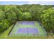 Aerial view of well-maintained community tennis courts surrounded by lush greenery at 404 Forsythia Ave, Summerville, SC 29483