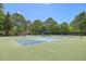 Community tennis courts with well-maintained surface, nets, and seating at 501 Willow Branch Way, Mount Pleasant, SC 29464