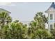 Charming beach homes surrounded by lush palm trees with a distant view of the ocean at 625 Ocean Blvd, Isle of Palms, SC 29451