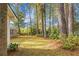 Spacious backyard with mature trees at 702 Minus St, Saint George, SC 29477