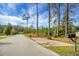 Long asphalt street and trees in the distance at 702 Minus St, Saint George, SC 29477