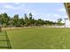 This spacious backyard has a manicured lawn and a fenced-in perimeter for added security and privacy at 733 Oakridge View Trl, Ridgeville, SC 29472