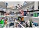 Organized walk-in pantry with custom shelving for optimal storage of dry goods and household essentials at 733 Oakridge View Trl, Ridgeville, SC 29472