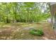 Expansive backyard features mature trees and landscaping at 103 Sylvan Ter, Summerville, SC 29485