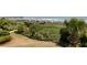 Lush greenery frames a serene view of the beach and pier in the distance at 1140 Ocean Blvd # 201, Isle of Palms, SC 29451