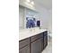 Clean bathroom with white countertops, a dark wood vanity, and a decorative shower curtain at 121 Keaton Brook Dr, Summerville, SC 29485