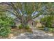 Charming home with a long driveway, beautifully framed by a mature tree at 1224 Decoy Ct, Mount Pleasant, SC 29464