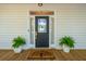 Elegant front door with glass panes, potted ferns, and a decorative welcome mat at 1483 Harborsun Dr, Charleston, SC 29412