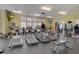 Gym with treadmills, weights, televisions, and natural light from the windows at 1634 Pin Oak Cut, Mount Pleasant, SC 29466